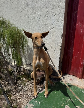 MATILDE Image 1