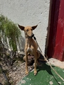 MATILDE Image 1