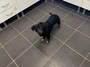 FUNNY Image 1
