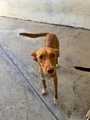 TWIX Imagen 1