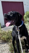 LUPITA